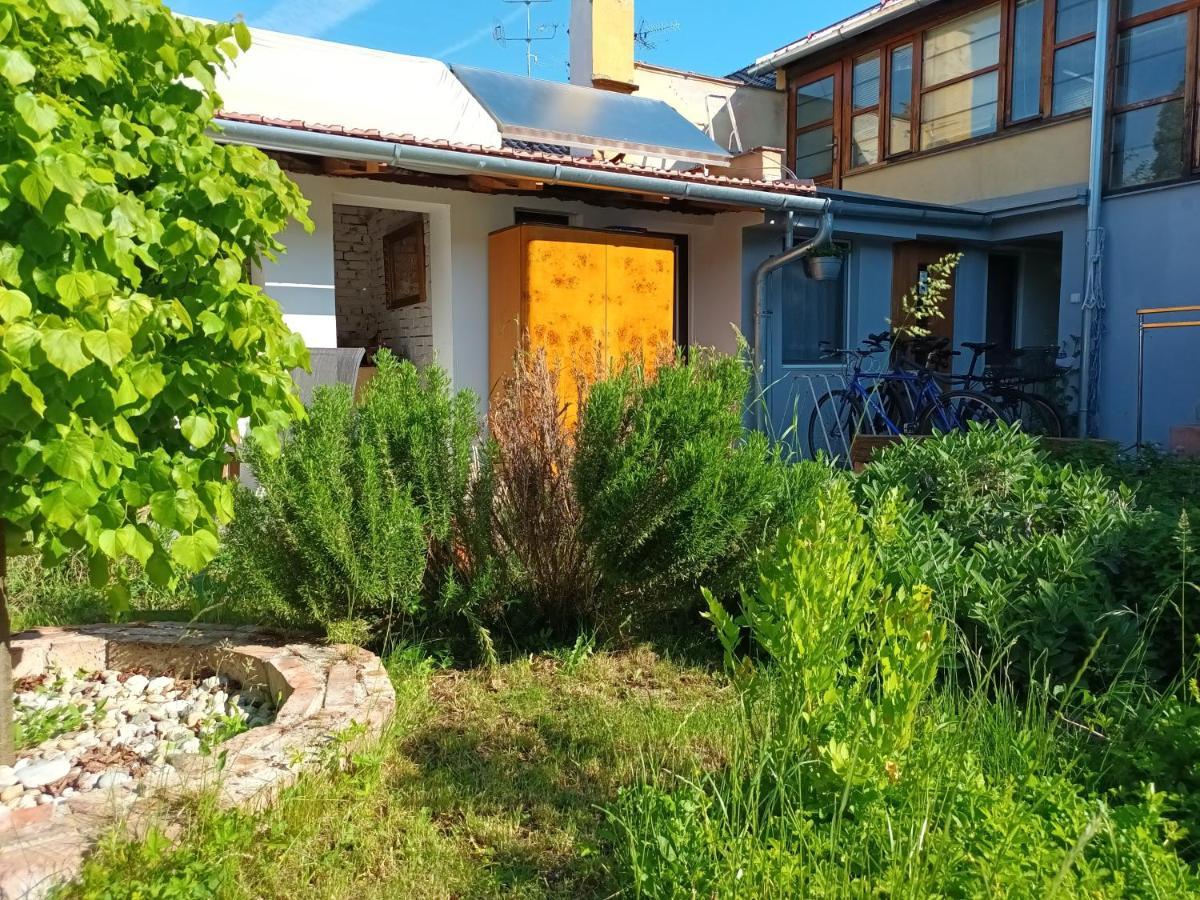Za Vodou Moravska Nova Ves Exterior foto