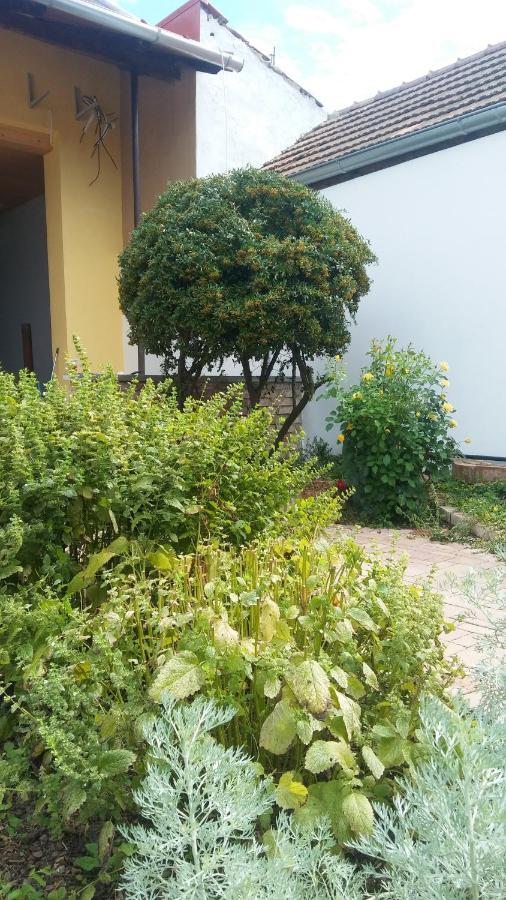 Za Vodou Moravska Nova Ves Exterior foto