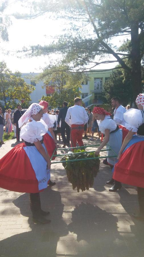 Za Vodou Moravska Nova Ves Exterior foto